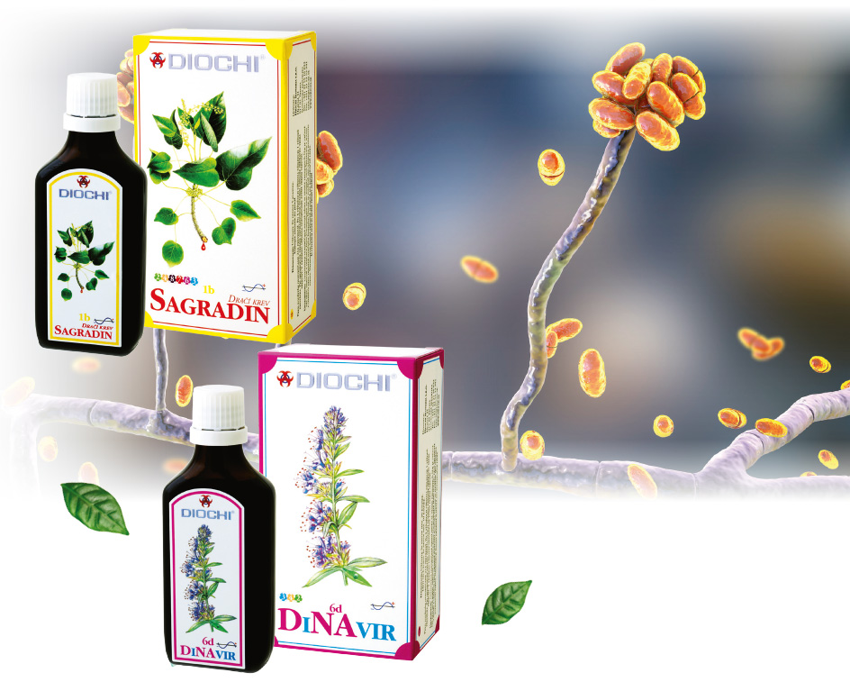 !AKCE: Na plísně se Sagradinem