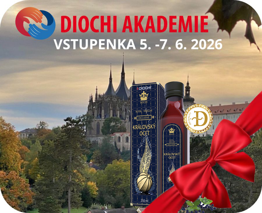 ! AKCE: Vstupenka na AKADEMII 2026 