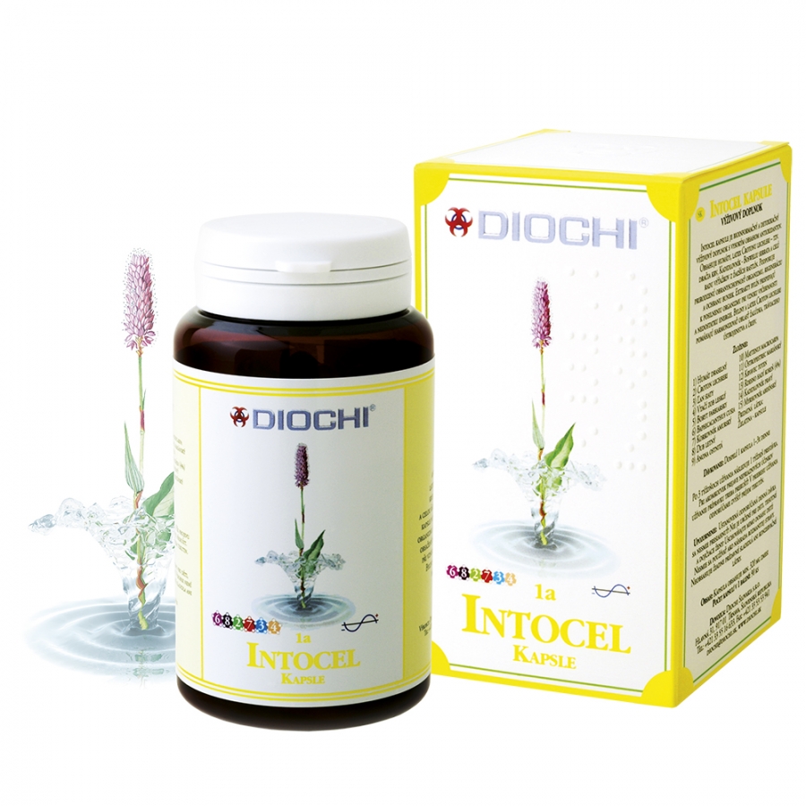 intocel 1990ac324e26b7e716caf3c87ed6c195 XL