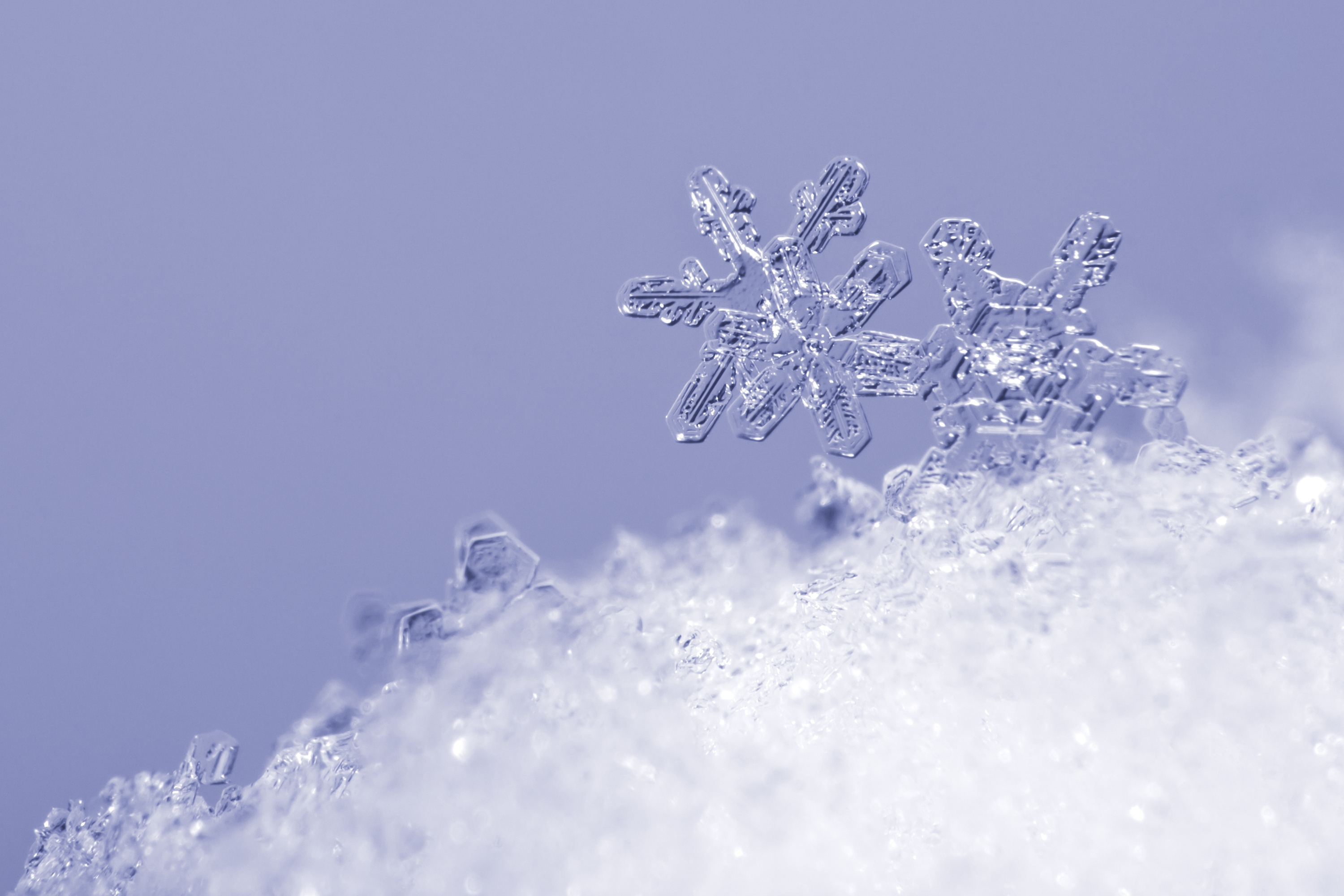 Tajemství sněhových vloček