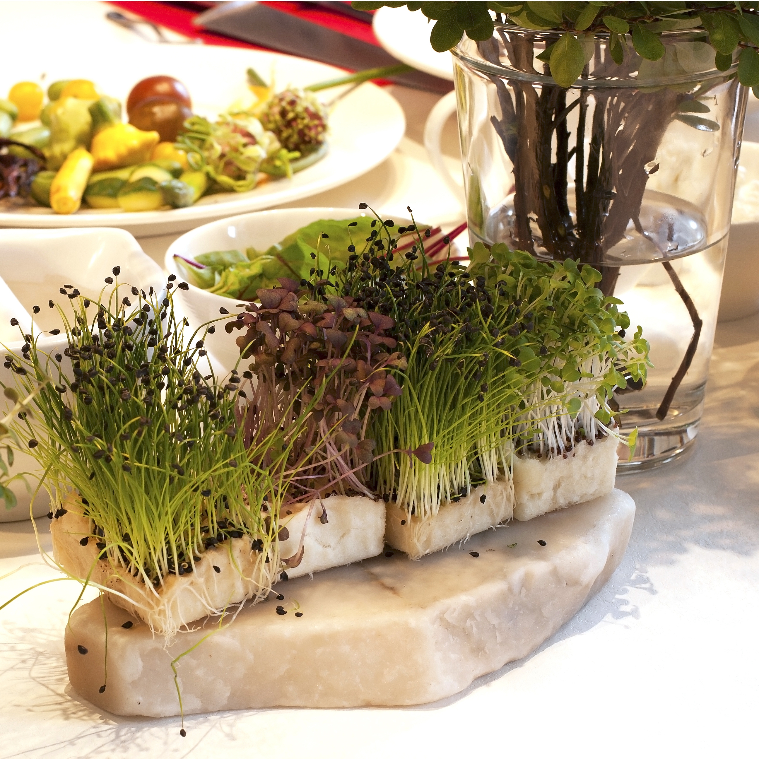 Výživa podle pěti elementů