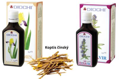 koptis astomin
