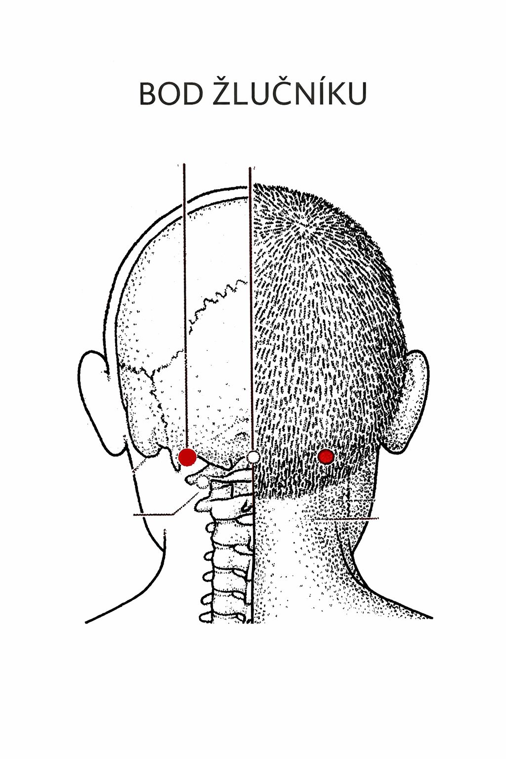 ChatGPT Image 11. 2. 2026 14 41 08